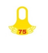 4664 SCCA 75 Year tab for lapel pin