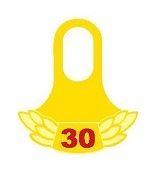 4646 SCCA 30 Year tab for lapel pin
