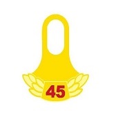 4649 SCCA 45 Year tab for lapel pin
